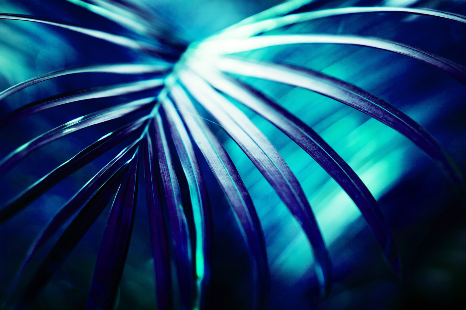 Dewang gupta mtuudc6rz10 unsplash