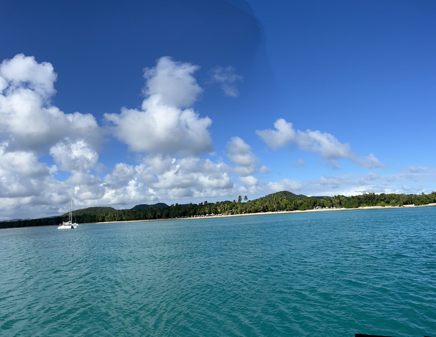 IMG 7856